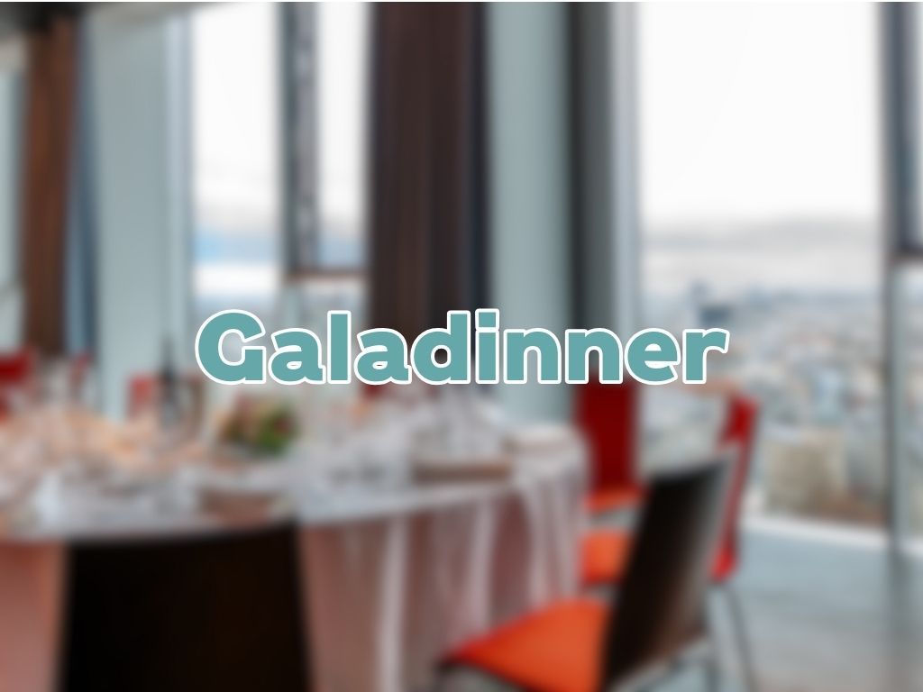 galadinner
