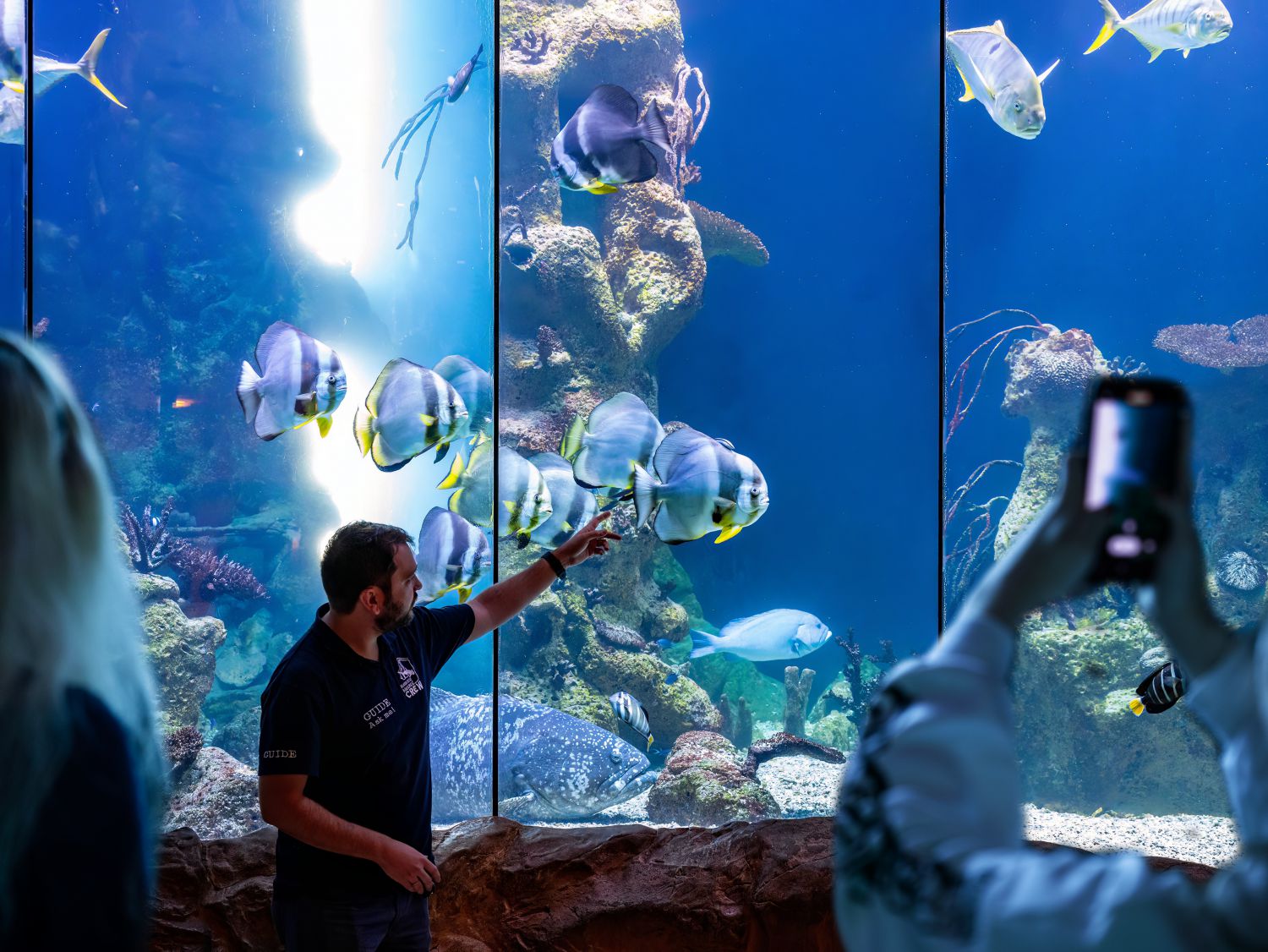 Guide steht vor Aquarium und zeigt auf Fische
