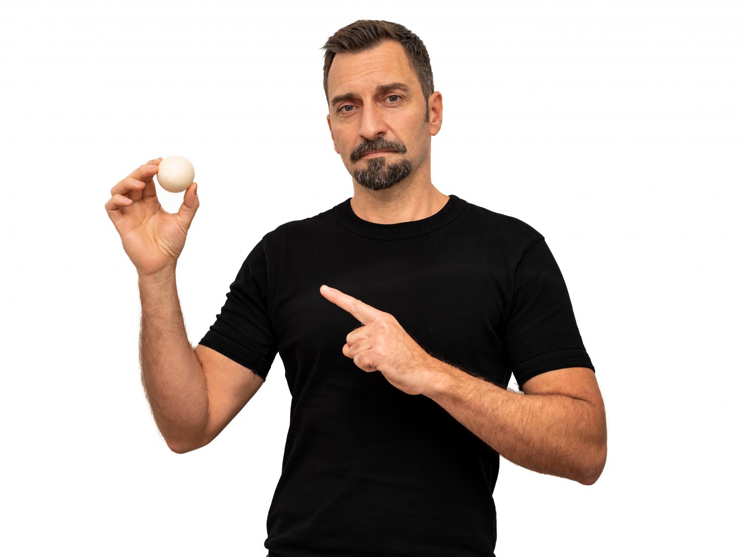 Stv. Direktor & Kurator für Abteilung Terra Robert Riener