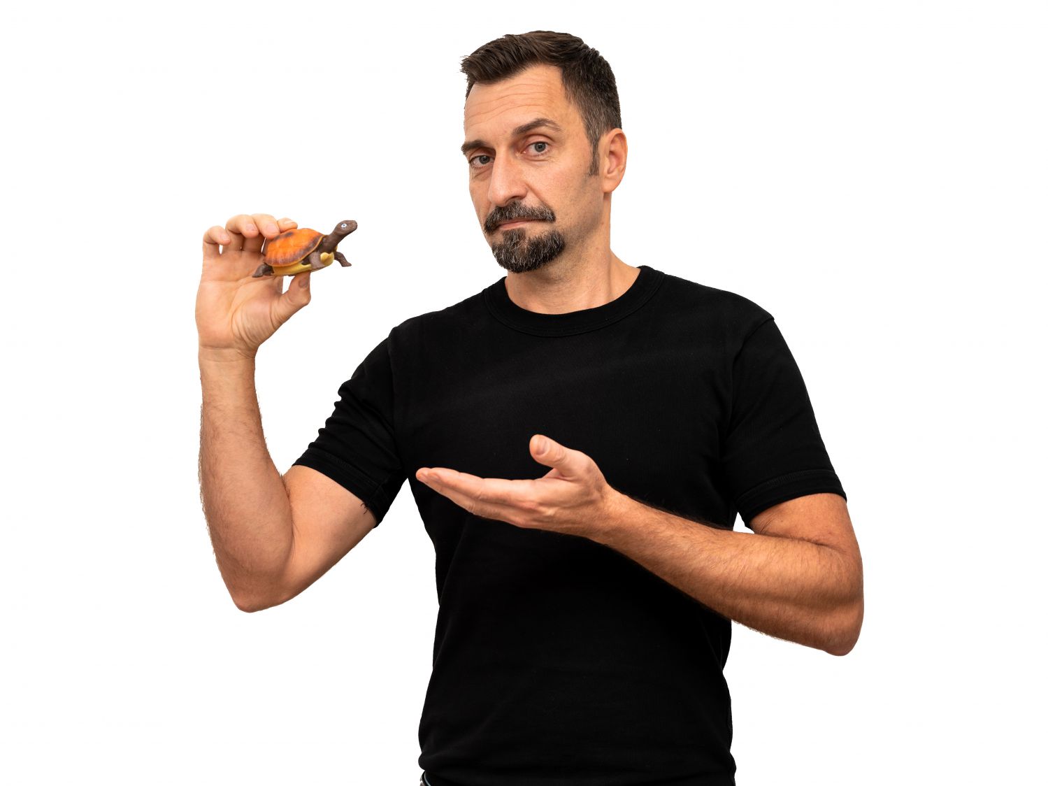 Stv. Direktor & Kurator für Abteilung Terra Robert Riener