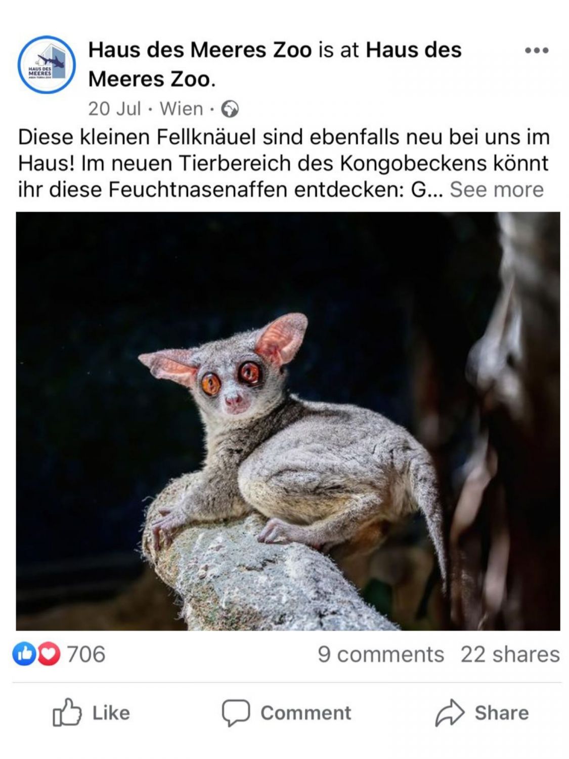 Screenshot des Facebook Feeds mit Galagosbild