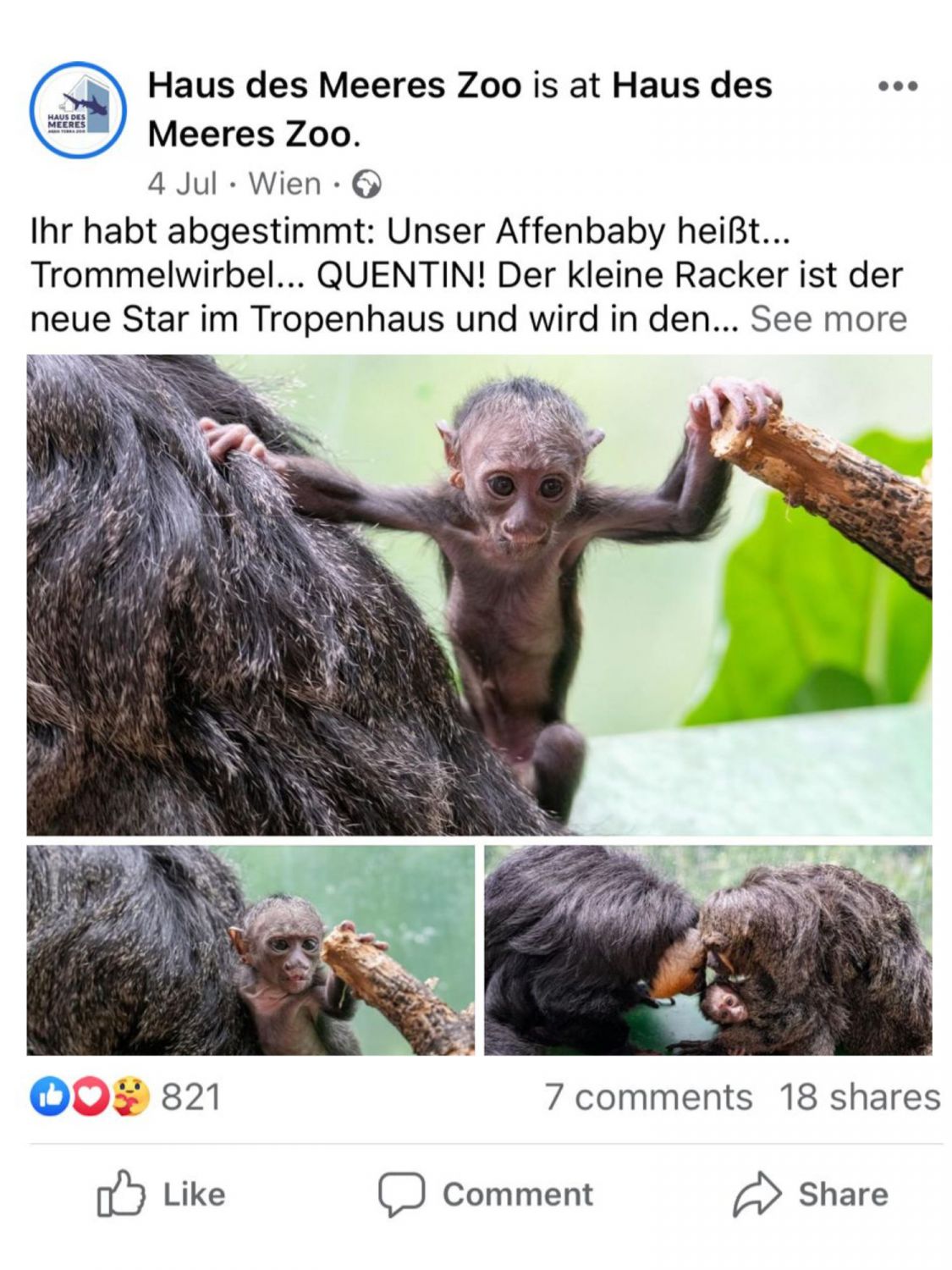 Screenshot des Facebook Feeds mit Bild von Baby Affen