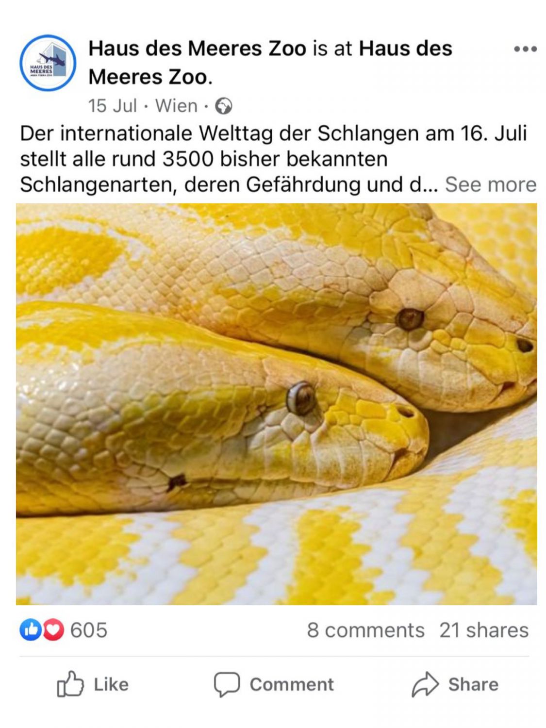 Screenshot des Facebook Feeds mit Schlangenbild