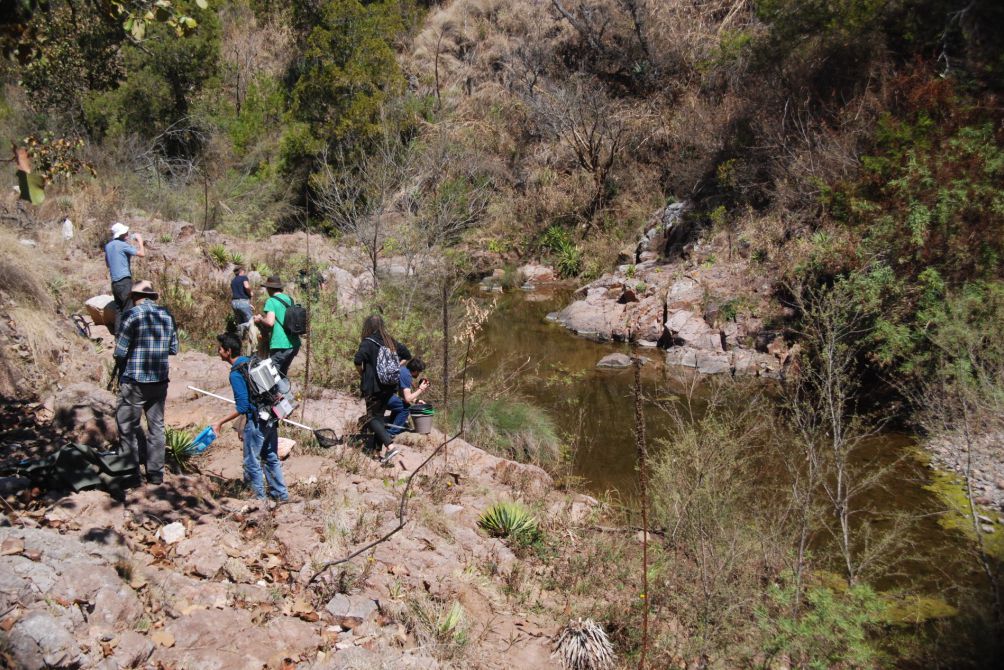 Forscher bei einer Expedition zu den natürlichen Vorkommen der Mexikanischen Hochlandkärpflinge 