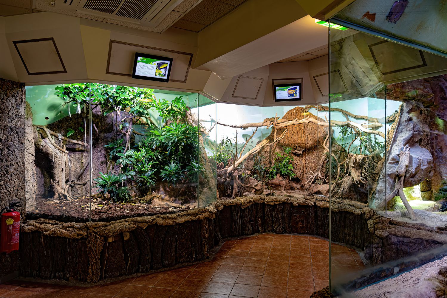 Terrarien für Reptilien mit Bepflanzung 