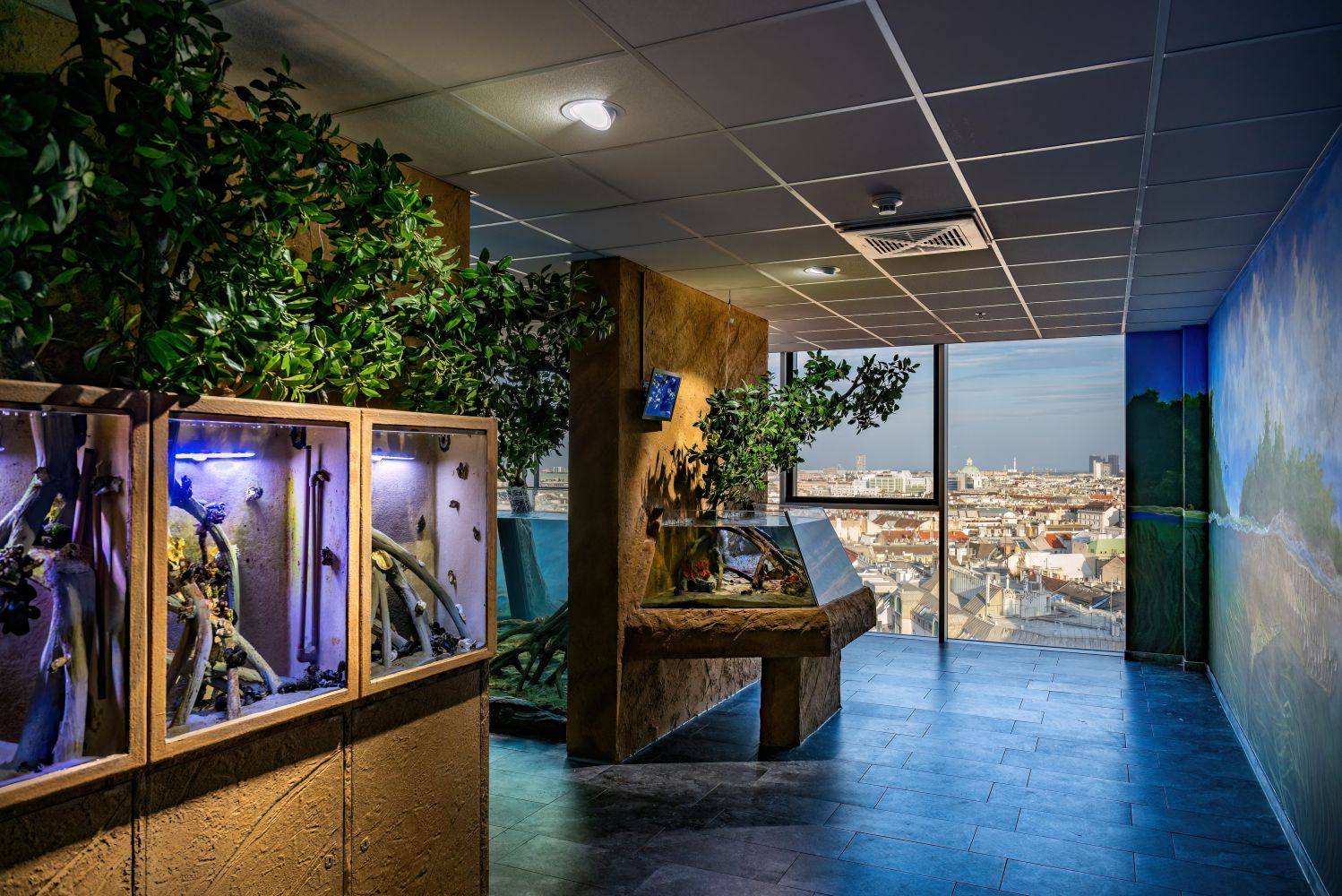 anderer Blickwinkel auf die Mangroven-Aquarien mit Aussicht nach draußen
