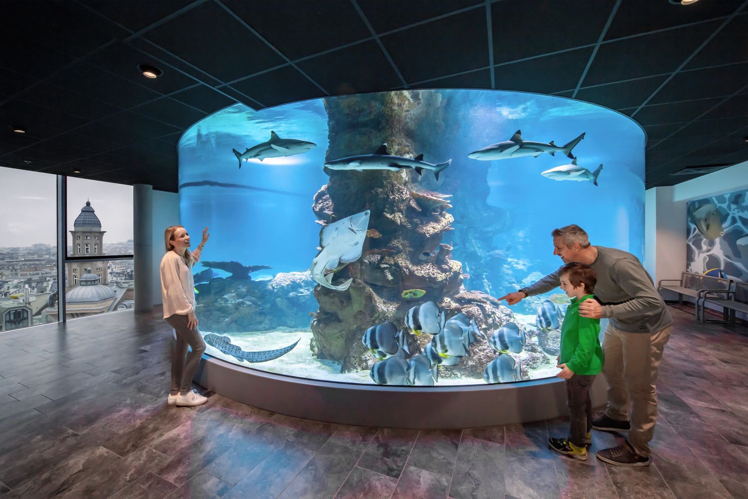 rundum begehbares 360° Haibecken